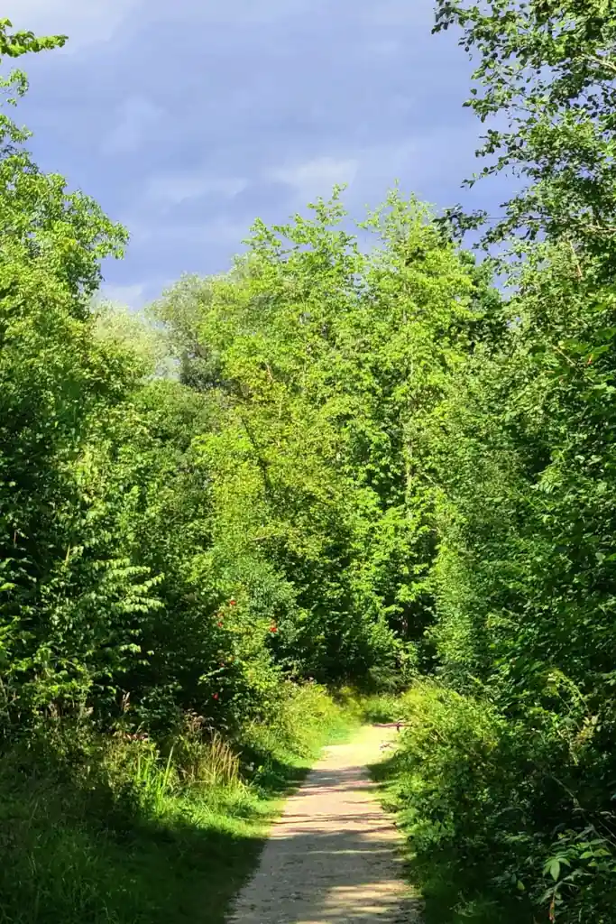 Der Weg zurück zu Dir